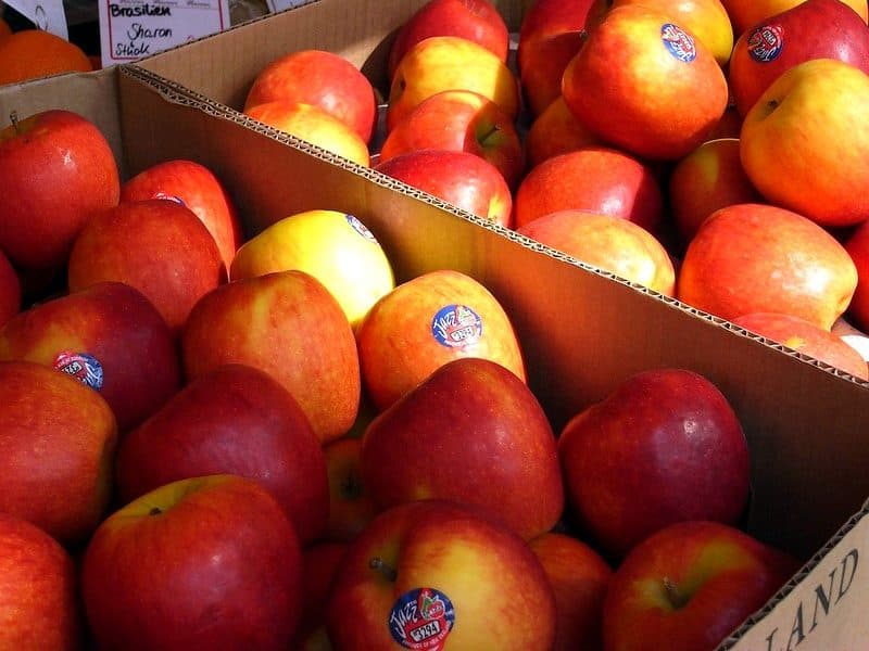 Fantasia Nectarines