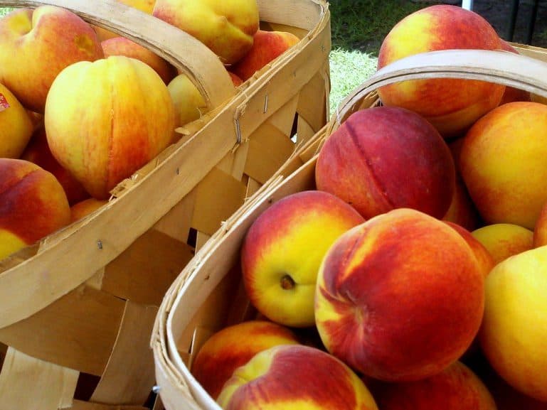 Glohaven Peaches